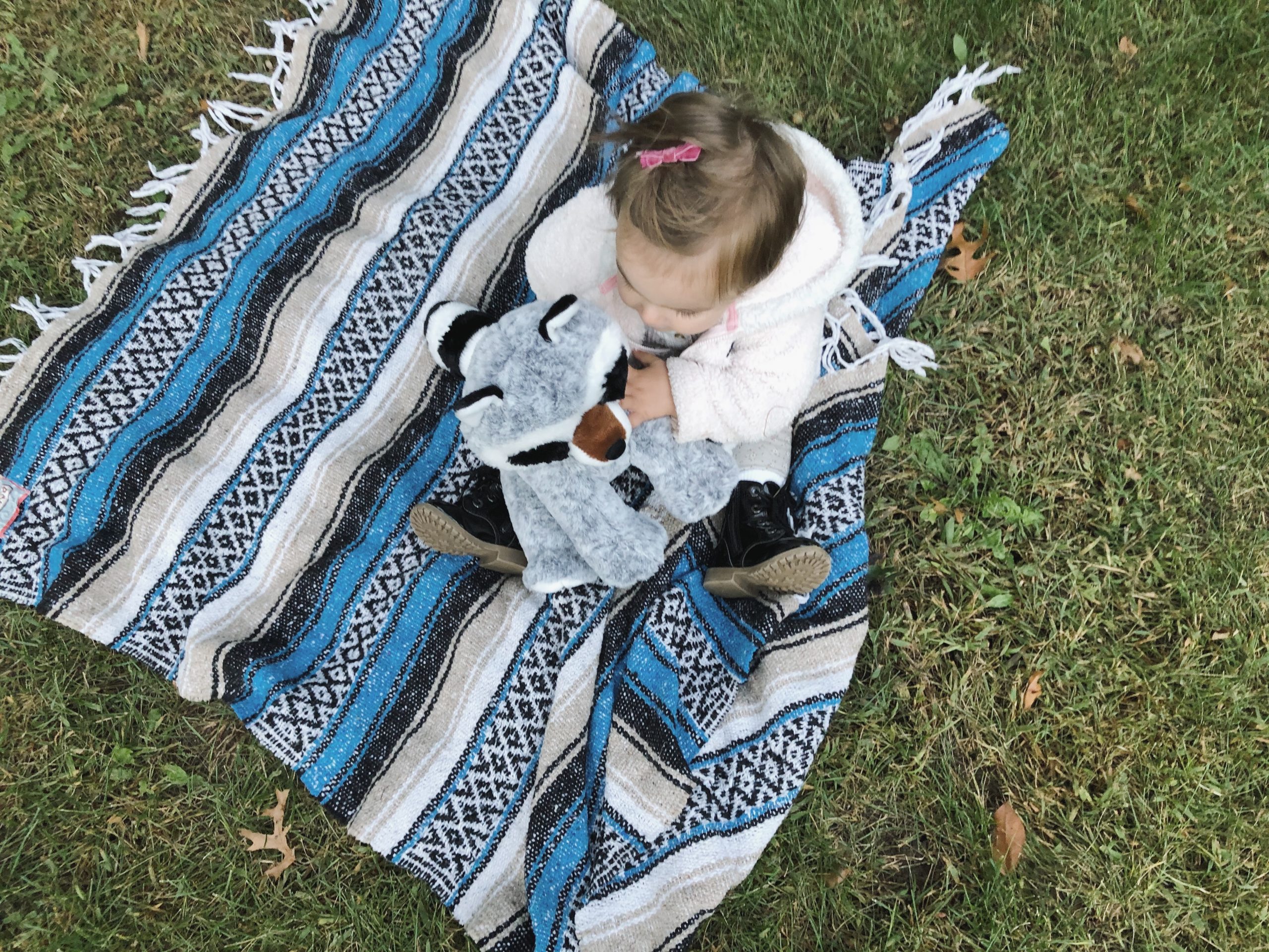 A child sitting on a blanket in the grass holding a raccoon plush stuffed buddy