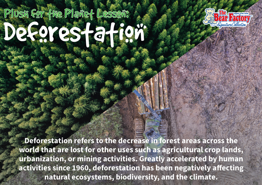 Plush for the planet lesson: deforestation. Deforestation refers to the decrease in forest areas across the world that are lost for other uses such as agricultural crop lands, urbanization, or mining activities. Greatly accelerated by human activities since 1960, deforestation has been negatively affecting natural ecosystems, biodiversity, and the climate.