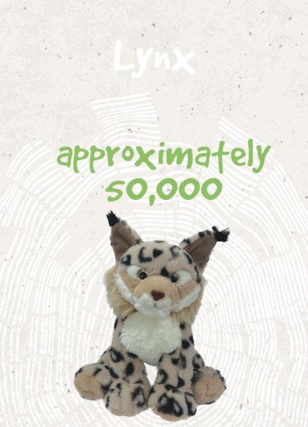 Lynx - Approximately 50,000