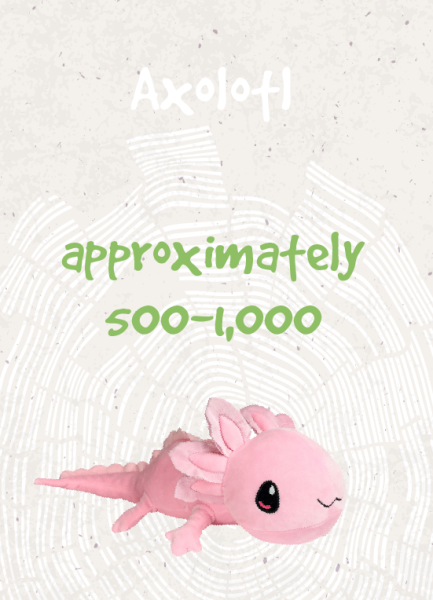 Axolotl - approximately 500-1,000