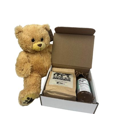 A cream-colored long hair bear holding a gift box