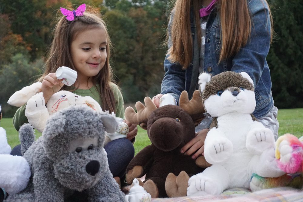 Two children playing with plush animals. There is a bear, moose, and husky dog plush. Please review and complete the Media Policy Agreement form for consideration of the use of our materials.